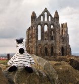 Beany Z at Whitby